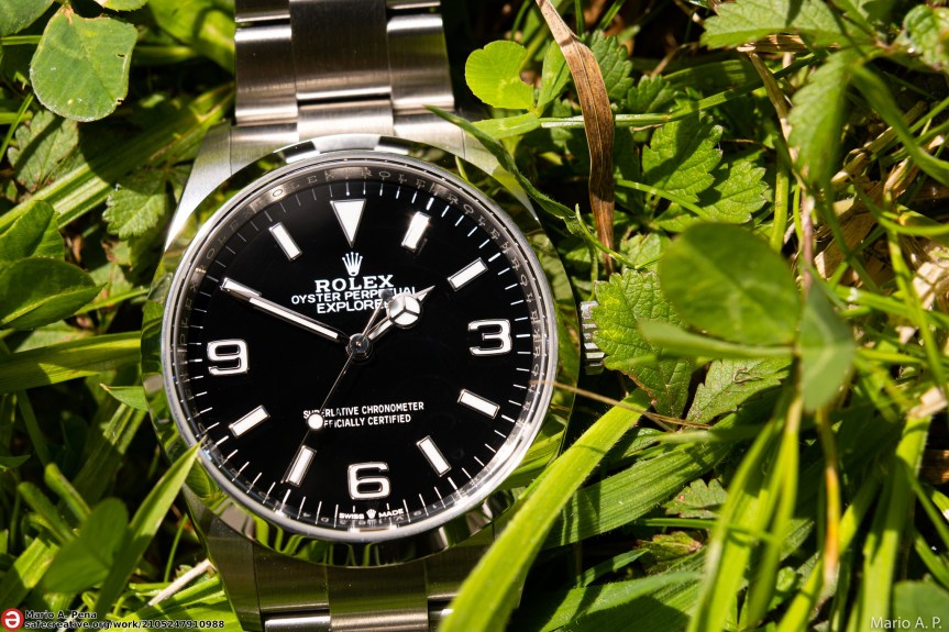 ¿Qué es una indicación geográfica y una denominación de&nbsp;origen?